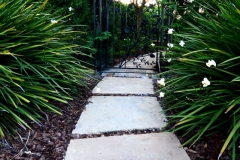 Large stepping stones to back yard gate