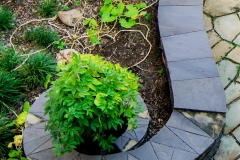 Brownstone Seahorse Retaining Wall