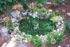 Pond with boulders and landscaping